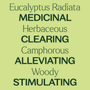 Eucalyptus Radiata Essential Oil