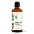Eucalyptus Radiata Essential Oil