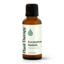 Eucalyptus Radiata Essential Oil