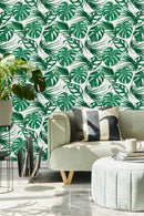 Fashionable Monstera Plants Wallpaper Tasteful