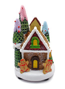 Christmas Village Wizardi F07-N1-2-226C