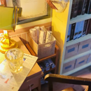 Detective Lodge Dollhouse Kit - Miniature Wizardi Roombox Kit F07M51-82-PC2308