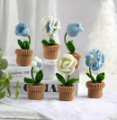 Blue and White Amigurumi Crochet Kit by Wizardi F07N8-M20