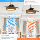 52" Lucknow Smart Fan with LED Light