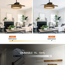 52" Lucknow Smart Fan with LED Light