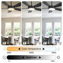 42 Inch Gladys Modern Black LED Ceiling Fan with Remote Control