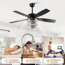 52 Inch Rita Double-sided Blades Downrod Mount LED Ceiling Fan with Remote Control