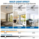 52 Inch Rita Double-sided Blades Downrod Mount LED Ceiling Fan with Remote Control