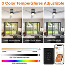52 Inch Pearl Black RGB LED Smart Fan with Remote and App Control