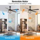 52" Varanasi Traditional Downrod Mount Ceiling Fan with Lighting and Remote Control