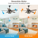 52" Paquette In Indoor Matte Black Industrial Ceiling Fan with Remote Control and Light Kit