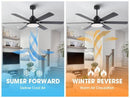 60" Modern DC Motor Downrod Mount Ceiling Fan with Lighting and Remote Control