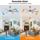 60" Modern Satin Nickel DC Motor Downrod Mount Reversible Ceiling Fan with Lighting and Remote Control