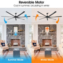 Silent Storm Extra Large Ceiling Fan with Remote Control