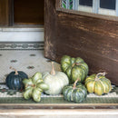 Lovecup Green Heirloom Pumpkin Collection L997
