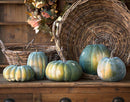 Lovecup Early Green Pumpkin Collection L041