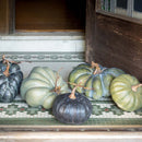Lovecup Green Heirloom Pumpkins, Set of 5, L143