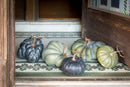 Lovecup Green Heirloom Pumpkins, Set of 5, L143