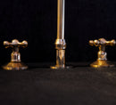 Unlacquered Brass Gooseneck Deck Mounted Kitchen Faucet
