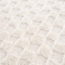 Leryn Ivory Checkered Area Rug