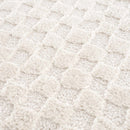 Leryn Ivory Checkered Area Rug