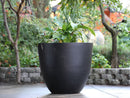 Deep Bowl Planter  By Plantatorem