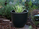Deep Bowl Planter  By Plantatorem