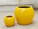 Sphere Planter (Set of 2) By Plantatorem