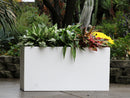 Rectangular Box Planter By Plantatorem
