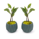 Concrete Mini Flute Tabletop Planters (Set of 2)