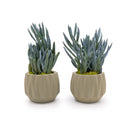 Concrete Mini Flute Tabletop Planters (Set of 2)
