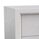 Furniture of America Lucien Modern Wood Nightstand with 2 Drawers