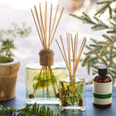 Reed Diffuser Refill - Forest