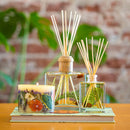 Accent Botanical Reed Diffuser - Forest