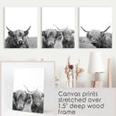 Black White Highland Cow Photo. 3 Piece Wall Art