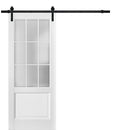 Felicia 3309 Matte White Barn Door with 9 Lites Frosted Glass and Black Rail