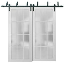 Felicia 3312 Matte White Double Barn Door with 12 Lites Frosted Glass | Black Bypass Rails