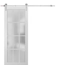 Felicia 3312 White Barn Door with 12 Lites Frosted Glass and Silver Finish Rail