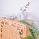 Fern Storage Cabinet