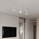 Fionn Ceiling Light