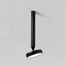 Fionn Ceiling Light