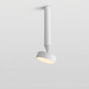 Fionn Ceiling Light