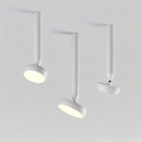 Fionn Ceiling Light