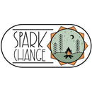 Organic Artisan Fire Starter Kit | Spark Change