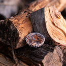 Organic Artisan Fire Starter Kit | Spark Change