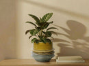 Art Décor Planter