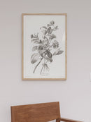 Floral Drawing II