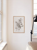 Floral Drawing II