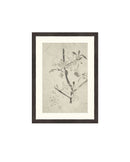 Floral Drawing V