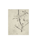 Floral Drawing V